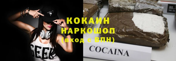 молекула духа Сясьстрой