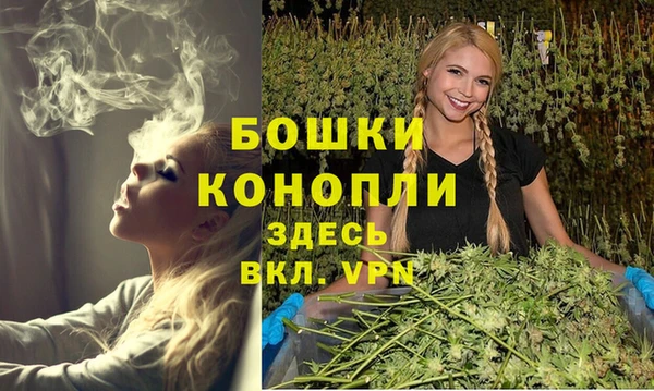 дживик Белоозёрский