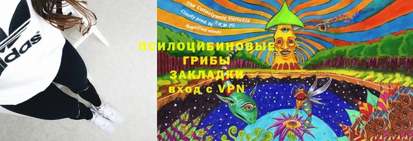 дживик Белоозёрский